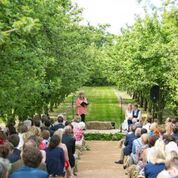 An outdoor wedding in an apple orchard