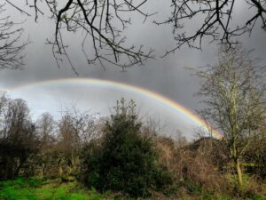 Rainbow over woodland near Lichfield - Mark Taylor - The Lichfield Funeral Celebrant