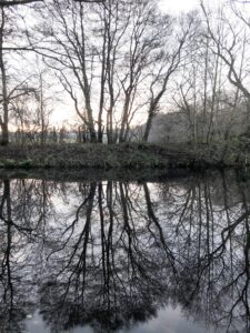 Winter trees reflected in the still water of Leomansley Pool, Lichfield - Mark Taylor - The Lichfield Funeral Celebrant