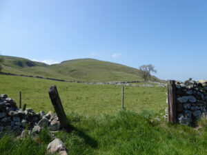 Hill Fence